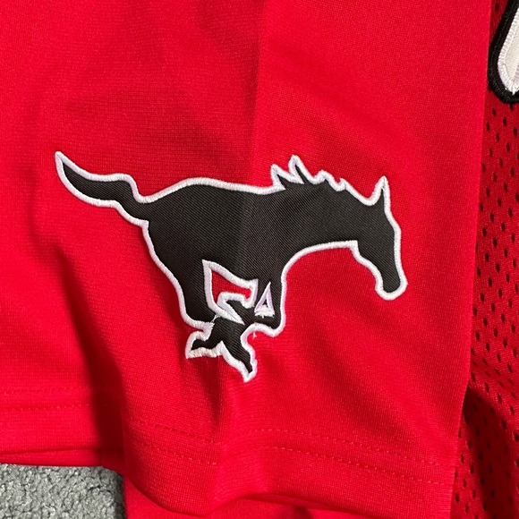 Zach Ertz Monte Vista High School Jersey - Picture 5 of 7